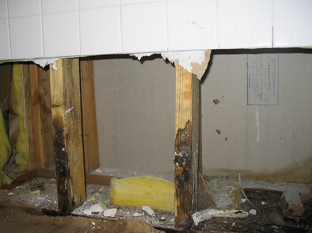 Mold remediation site