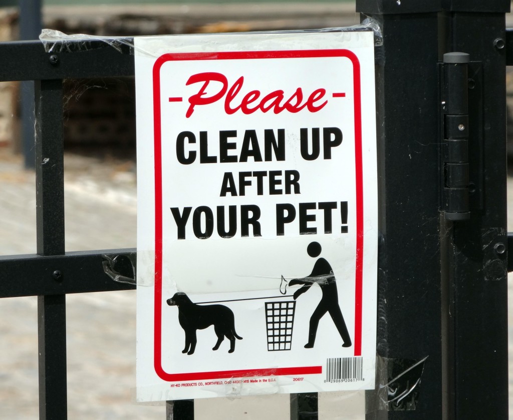 Pet cleaning in Sioux Falls