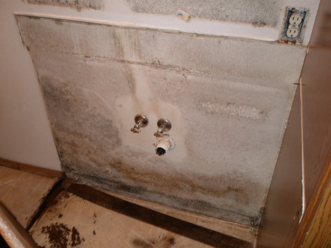 Does Your Home Have Mold