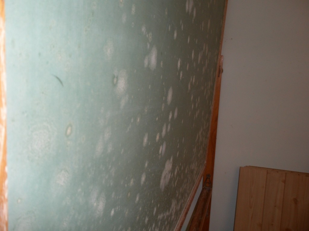 mold-remediation-in-sioux-falls