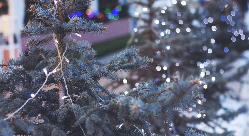 Avoid Holiday House Fires - Clean Up Your Christmas Tree!