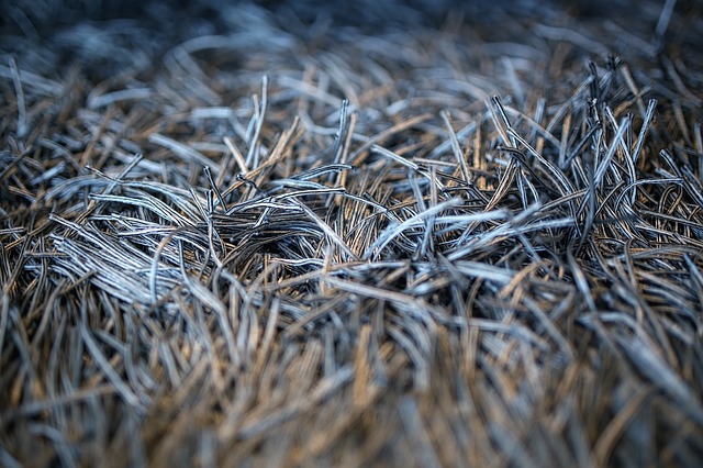 carpet-fibers-carpet-cleaning-in-sioux-falls