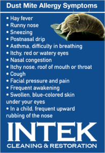 Dust mite allergy symptoms from intek cleaning