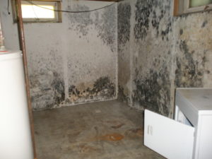 Mold Remediation in Sioux Falls
