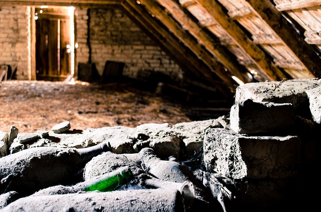 Avoid Attic Mold in your home