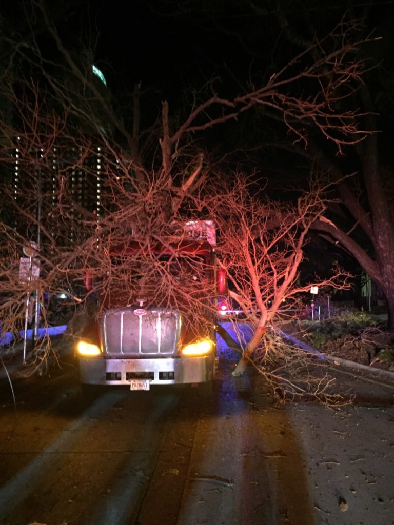 A semi truck is obstructed by tree branches during INTEK's trip south for hurricane relief.