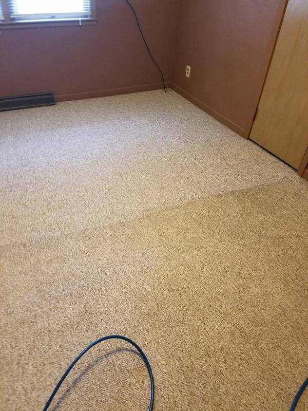 Carpet Before And After 5 - Intek Cleaning & Restoration