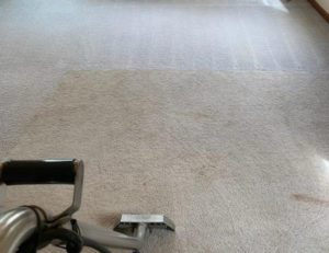 INTEK carpet cleaning