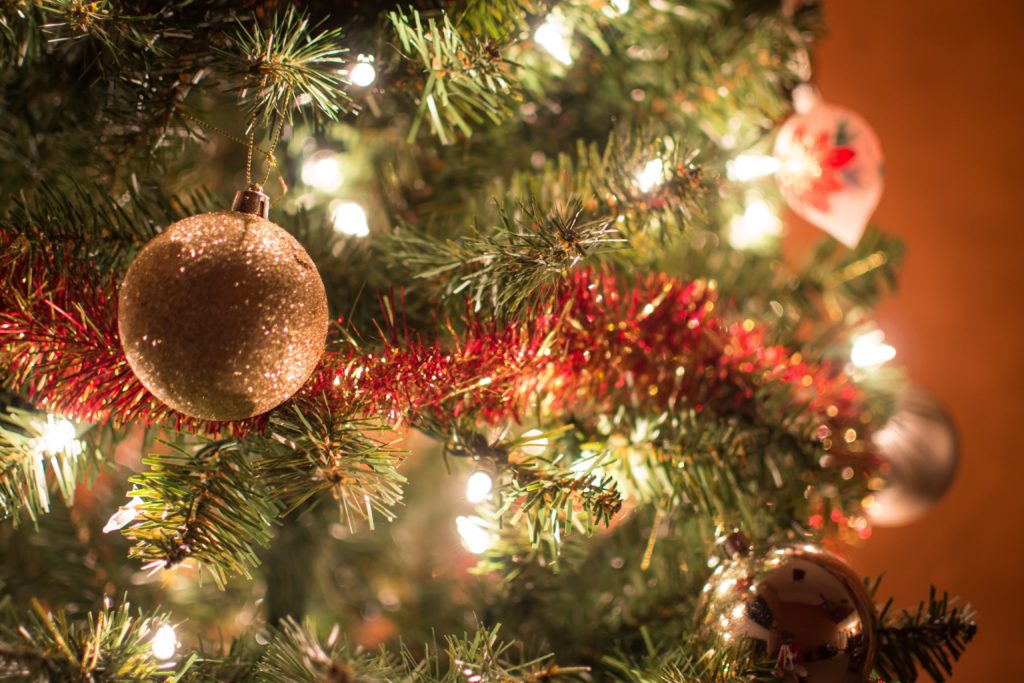 Recycle Your Christmas Tree in Sioux Falls